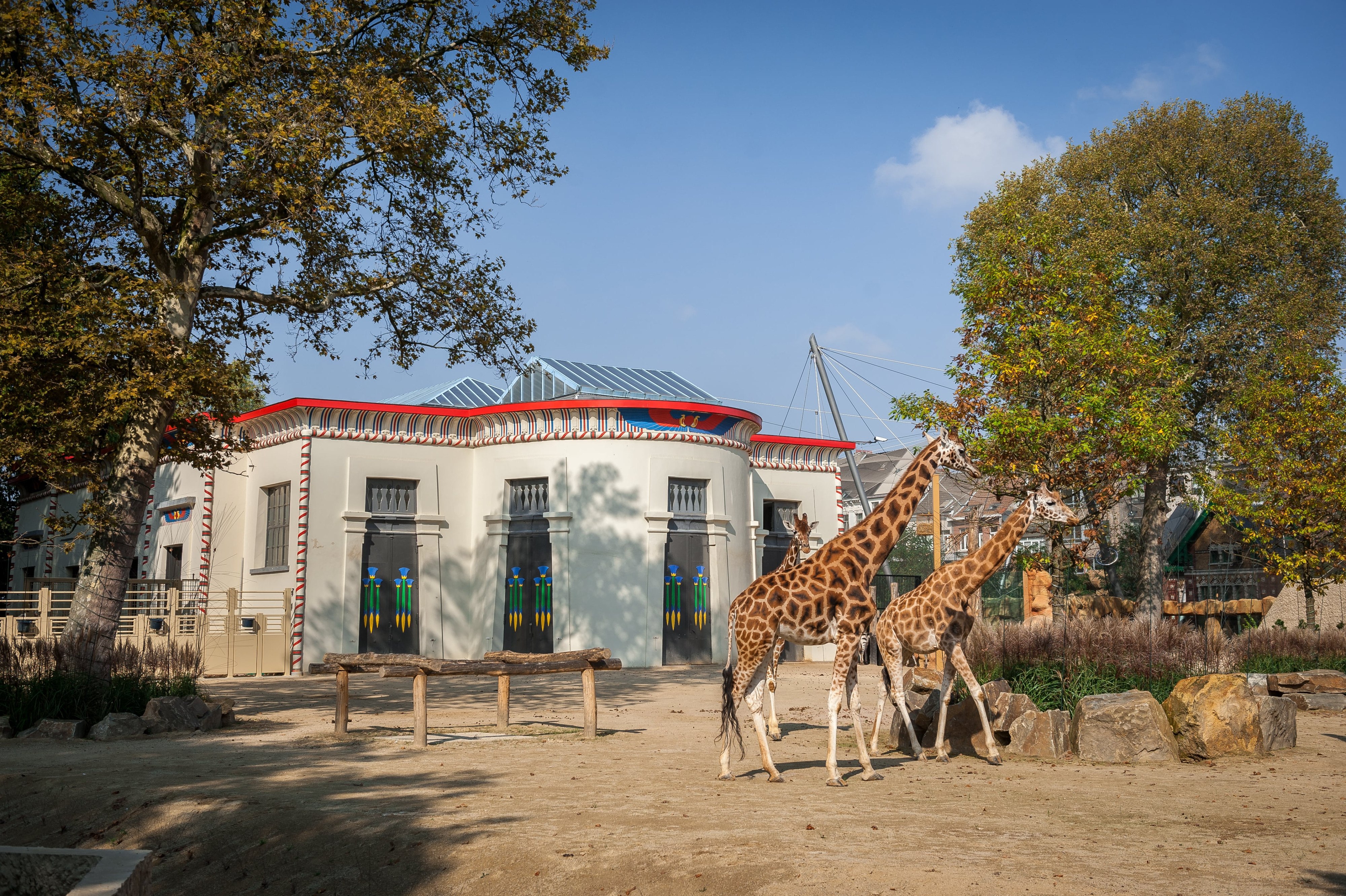 Zoo Antwerpen